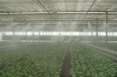 農業種植用工業加濕系統