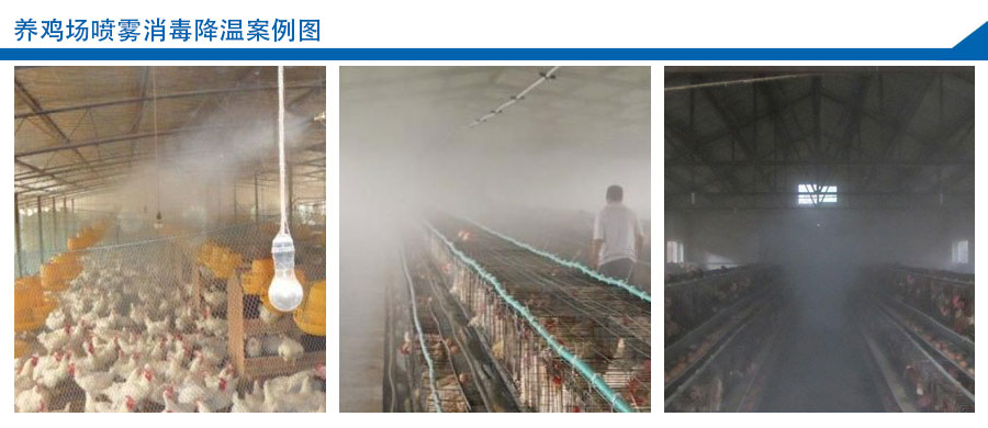 養雞場噴霧消毒降溫案例